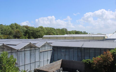 Moesbosch: Ciel, Nuage, Bâtiment, Plante, Arbre, Design Urbain, Maison, Ombre, Façade, Toit