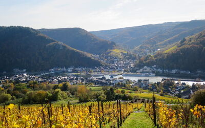 Wildbadstrasse
