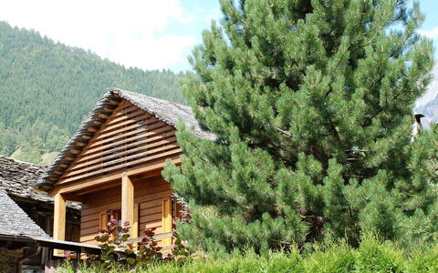 Rustico Fortuna: Arbre, Végétation, Toit, Biome, Propriété, Maison, Cabane En Rondins, À Feuilles Persistantes, Chalet, Plante
