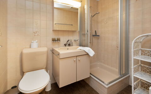 Chalet Sunneblick: Salle De Bains, Lavabo, Luminaire Plomberie, Évier, Mur, Sol, Design Intérieur, Sol, Toilette, Robinet