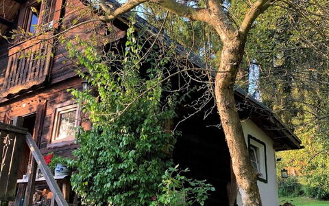 Reserl: Plante, Bâtiment, Arbre, Vert, Branche, Fenêtre, Botanique, Pot De Fleur, Maison, Escaliers
