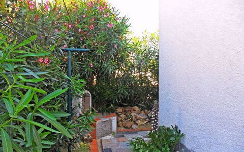Josiane: Plante, Fleur, Feuille, Herbe, Rectangle, Paysage Naturel, Couverture De Sol, Arbuste, Paysage, Terrestre Des Plantes