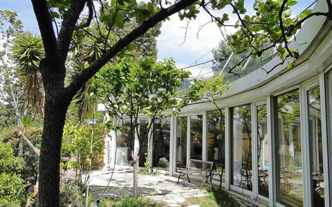 Agora: Arbre, Végétation, Architecture, Botanique, Bâtiment, Branche, Suppression Des Plantes Ligneuses, Plante, Printemps, Maison
