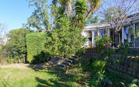Agora: Arbre, Maison, Végétation, Propriété, Domicile, Immobilier, Botanique, Plante, Chalet, Herbe