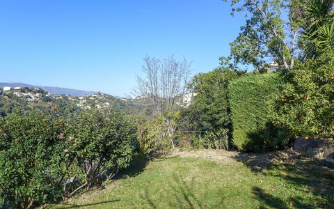 Agora: Végétation, Paysage Naturel, La Nature, Arbre, Propriété, Environnement Naturel, Ciel, Réserve Naturelle, Herbe, Région Sauvage