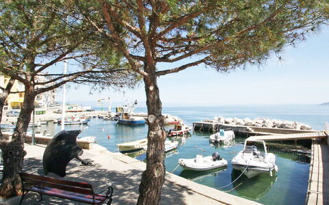 Pinka: Transport De L'Eau, Arbre, Voie Navigable, L'Eau, Marina, Bateau, Suppression Des Plantes Ligneuses, Tourisme, Vacances, Véhicule