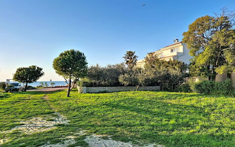 Umag 107: Ciel, Bleu, Herbe, Paysage, Arbuste, Lot Terre, Pelouse, Jardin, Prairie