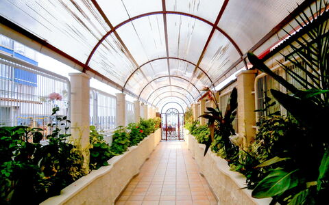 Las Damas: Passerelle, Botanique, Bâtiment, Symétrie, Architecture, Plante, La Photographie, Jardin