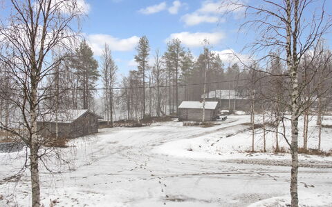 Suopursu: Arbre, L'Hiver, Branche, Neige, Bois, Maison, Domicile, Brindille, Chalet, Gelé