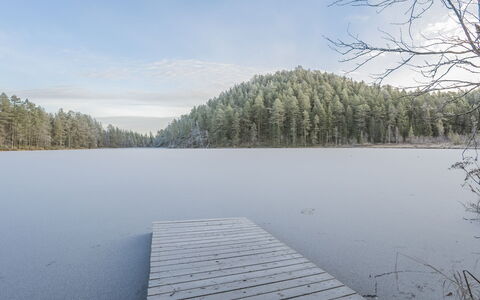 Viipusjärvi 10: L'Eau, Environnement Naturel, Paysage Naturel, Banque, Réflexion, Région Sauvage, Lac, Forêt, Mélèze, Réservoir