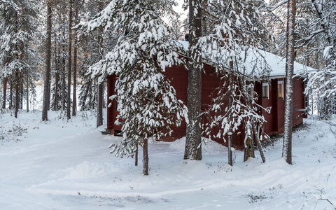 Viipusjärvi 11: Neige, L'Hiver, Branche, Bois, Chalet, Brindille, Gelé, Tronc, Forêt