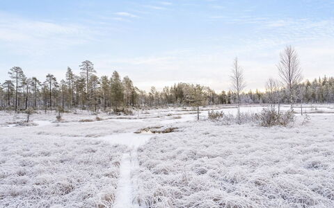 Pajalan Honka: Bois, Neige, Chalet, L'Hiver, Toit, Domicile, Gelé, Cabane En Rondins, Siding, Pente
