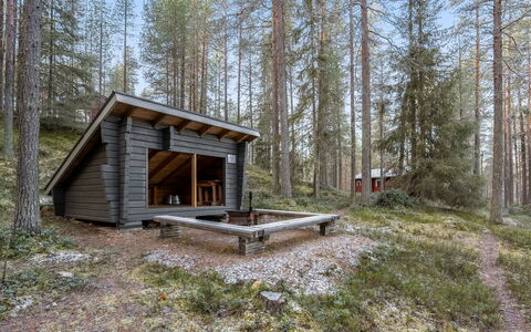 Viipusjärvi 12: Bois, Cabanon, Cabane En Rondins, Communauté Des Plantes, Forêt, Batiments Jardin, Chalet, Des Bois, Tronc