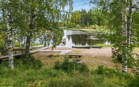 Koivuranta: Arbre, Environnement Naturel, La Nature, Paysage Naturel, Banque, Communauté Des Plantes, Lac, Réserve Naturelle