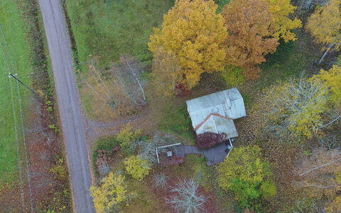 Päivärinne: Herbe, Maison, Chalet, Lot Terre, Domicile, Biens, Pelouse, Siding, Ferme, Porche