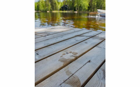 Norppa: Bois, Neige, L'Hiver, Chalet, Gelé, Domicile, Cabane En Rondins, Mélèze, Siding