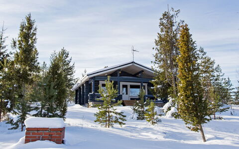 Norppa: Bois, Neige, L'Hiver, Chalet, Gelé, Domicile, Cabane En Rondins, Mélèze, Siding