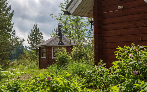 Ranta-Lemettilä: Arbuste, Chalet, Communauté Des Plantes, Toit, Lot Terre, Jardin, Couverture De Sol, Printemps, Batiments Jardin, Aménagement Paysager