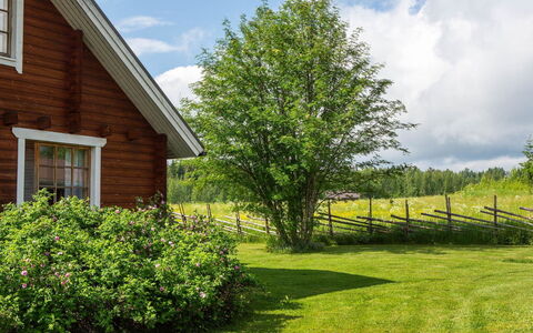 Ranta-Lemettilä: Domicile, Chalet, Toit, Biens, Ombre, Ferme, Pelouse, Aménagement Paysager, Jardin, Cour