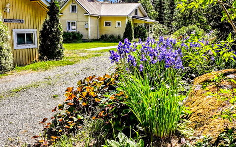 Villa Paasirinne B: Bois, Neige, L'Hiver, Chalet, Gelé, Domicile, Cabane En Rondins, Mélèze, Siding