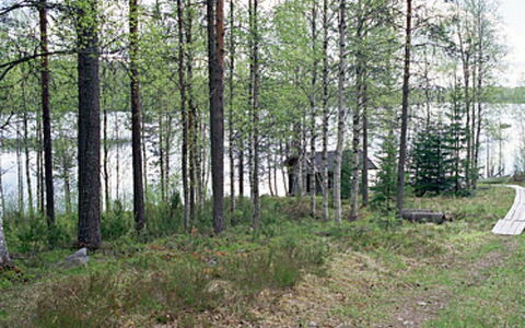Mustikkainen: Domicile, Chalet, Toit, Biens, Ombre, Ferme, Pelouse, Aménagement Paysager, Jardin, Cour