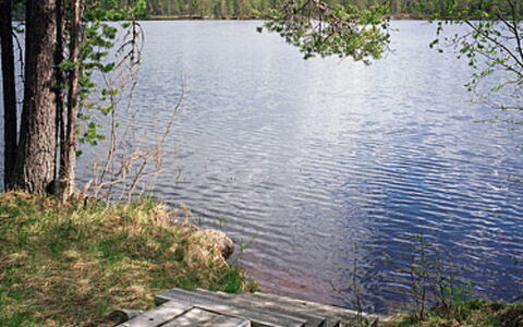 Mustikkainen: Domicile, Chalet, Toit, Biens, Ombre, Ferme, Pelouse, Aménagement Paysager, Jardin, Cour
