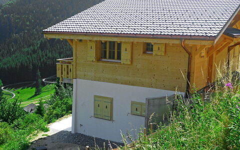 Chalet la Poya: Plante, Bâtiment, Fenêtre, Vert, Lot Terre, Maison, Chalet, Herbe, Arbre, Bois