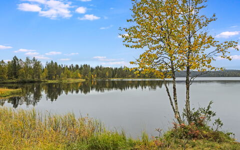 Varilan Lomamajat Nr2: L'Eau, Ressources En Eau, Vert, Plan D'Eau, La Nature, Environnement Naturel, Arbre, Paysage Naturel, Feuille