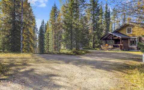 Varilan Lomamajat Nr2: Arbre, Bois, Branche, Chalet, Maison, Des Bois, Forêt, Domicile, Tronc