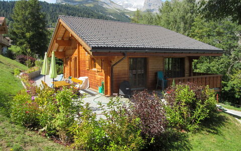 Helene: Plante, Nuage, Ciel, Bâtiment, Fenêtre, Communauté Des Plantes, Arbre, Paysage Naturel, Maison, Fleur