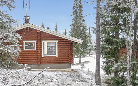 Oloskammi 5: Bois, Neige, L'Hiver, Chalet, Gelé, Domicile, Cabane En Rondins, Mélèze, Siding