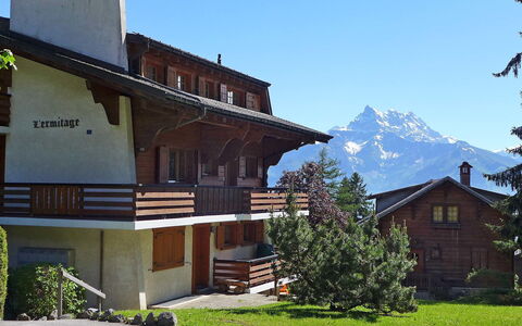 Villars 996: Plante, Ciel, Bâtiment, Fenêtre, Montagne, Maison, Arbre, Lot Terre, Bois, Quartier