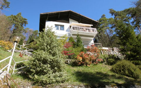 Rosemarie: Plante, Ciel, Bâtiment, Fenêtre, Maison, Arbre, Lot Terre, Chalet, Herbe, Zone Résidentielle