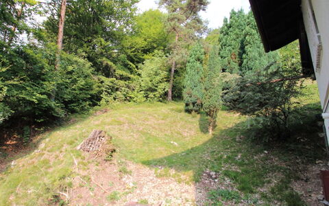 Rosemarie: Propriété, Végétation, Vert, Arbre, Herbe, Environnement Naturel, Réserve Naturelle, Biome, Forêt, Lot Terre