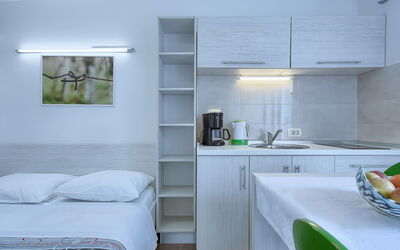 Logement:&nbsp;Nika 109.9