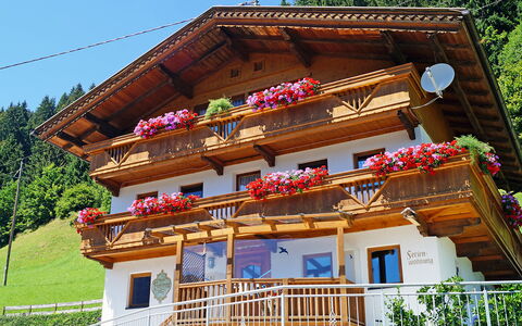 Gruber: Bâtiment, Plante, Fenêtre, Propriété, Ciel, Maison, Temple, Arbre, Bois