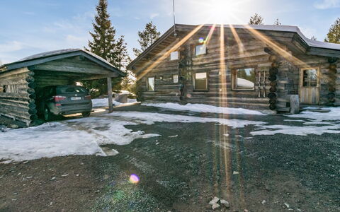 Kujakieppi: L'Hiver, Chalet, Toit, Neige, Domicile, Gelé, Cabane En Rondins, Siding, Mélèze
