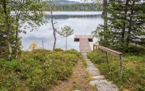 Rukatörmä, Kesäjärvi: L'Eau, Plan D'Eau, Paysage Naturel, Banque, Région Sauvage, Lac, Quai, Forêt, Réserve Naturelle, Réservoir