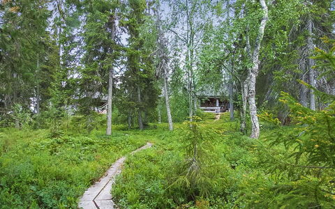 Seitsemän Savua 6: Bois, Chalet, Cabane En Rondins, Forêt, Cabanon, Batiments Jardin, Mélèze, Des Bois, Tache De Bois