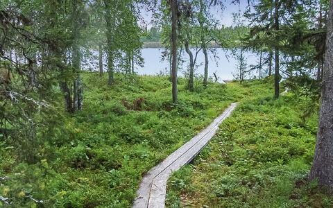 Seitsemän Savua 6: Bois, Chalet, Cabane En Rondins, Forêt, Cabanon, Batiments Jardin, Mélèze, Des Bois, Tache De Bois