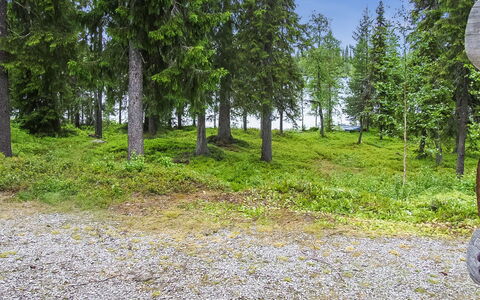 Seitsemän Savua 6: Bois, Chalet, Cabane En Rondins, Forêt, Cabanon, Batiments Jardin, Mélèze, Des Bois, Tache De Bois