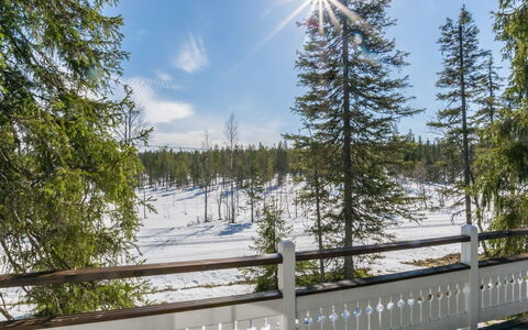 Vuosselinhovi F: Bois, Chalet, Cabane En Rondins, Forêt, Cabanon, Batiments Jardin, Mélèze, Des Bois, Tache De Bois