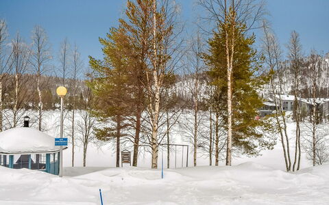 Kelokivakka D19: Branche, Arbre, L'Hiver, Neige, Brindille, Gelé, Tronc, Pente, Bosquet