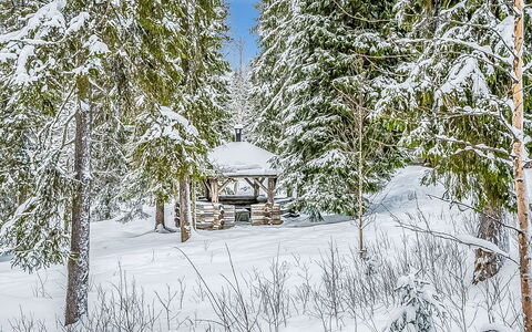 Seitsemän Savua 3: Neige, Branche, L'Hiver, Arbre, Environnement Naturel, Bois, Gelé, Brindille, Forêt