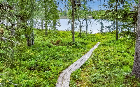 Seitsemän Savua 3: Vert, Environnement Naturel, Végétation, Paysage Naturel, Communauté Des Plantes, Forêt, Région Sauvage, Couverture De Sol, Réserve Naturelle