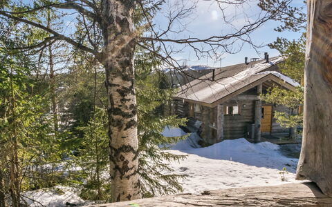 Pihlakieppi 2: Bois, Branche, Maison, Chalet, Architecture, Toit, Domicile, Cabane En Rondins, Siding, Porte