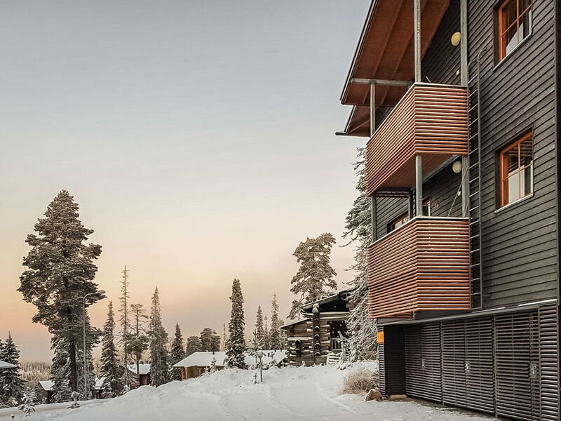 Karhunvartijan Linna C17