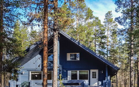 Antin Mökki: Bois, Chalet, Cabane En Rondins, Forêt, Cabanon, Batiments Jardin, Mélèze, Des Bois, Tache De Bois