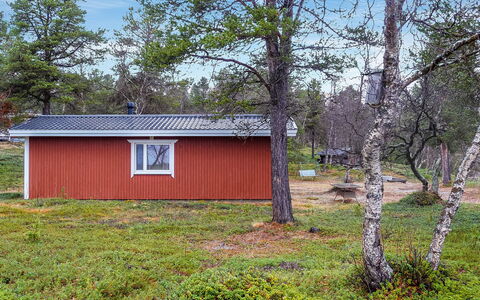 Mellaniemi: Bois, Chalet, Cabane En Rondins, Forêt, Cabanon, Batiments Jardin, Mélèze, Des Bois, Tache De Bois