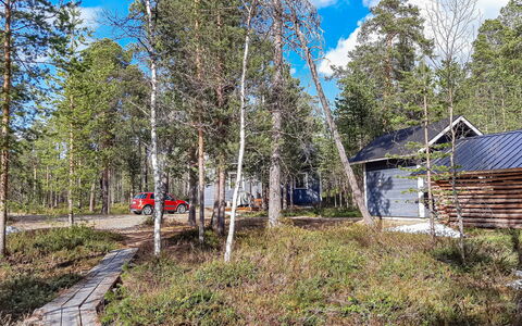 Hoviranta: Arbre, Bois, Communauté Des Plantes, Lot Terre, Des Bois, Forêt, Tronc, Chalet, Bosquet, Cabanon